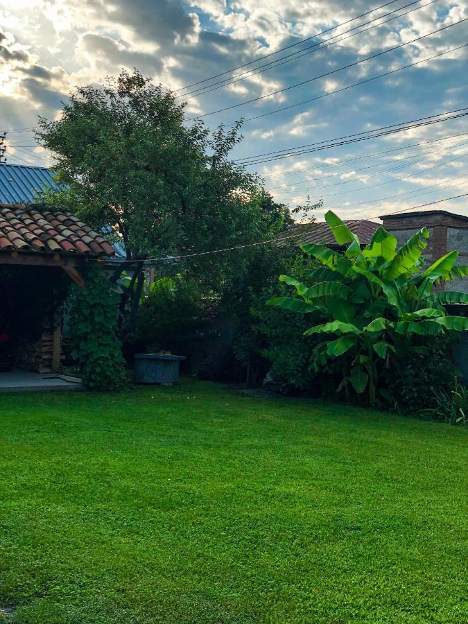 ,,Anna'S" Guesthouse K'vemo Alvani Exterior photo