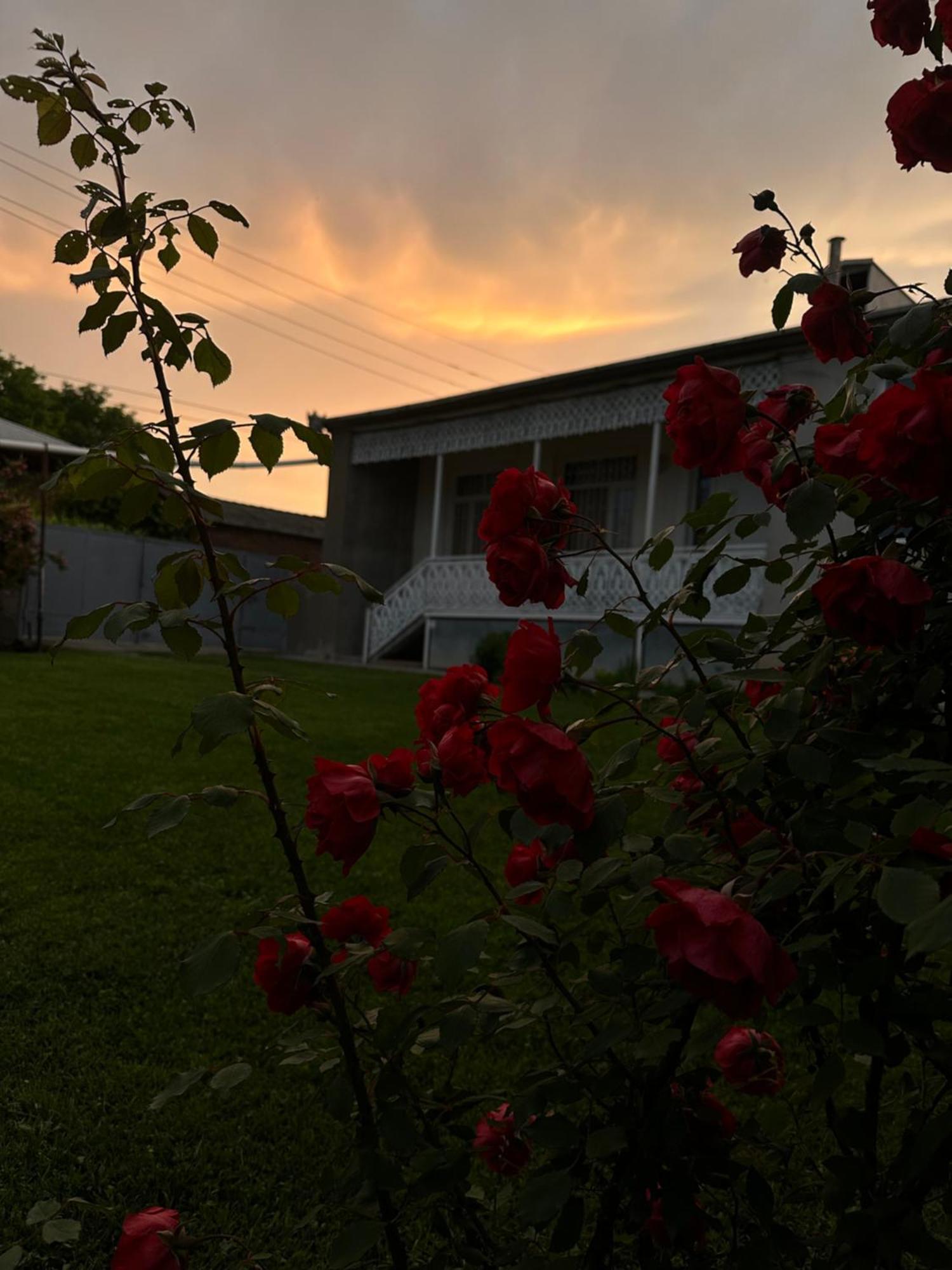 ,,Anna'S" Guesthouse K'vemo Alvani Exterior photo